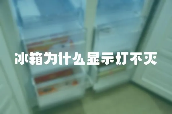 冰箱為什么顯示燈不滅