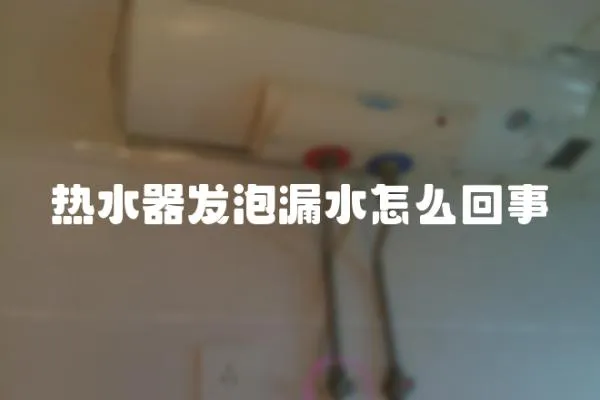 熱水器發泡漏水怎么回事