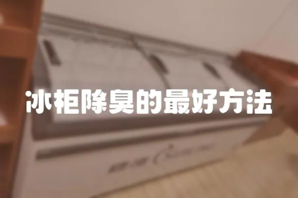 冰柜除臭的最好方法