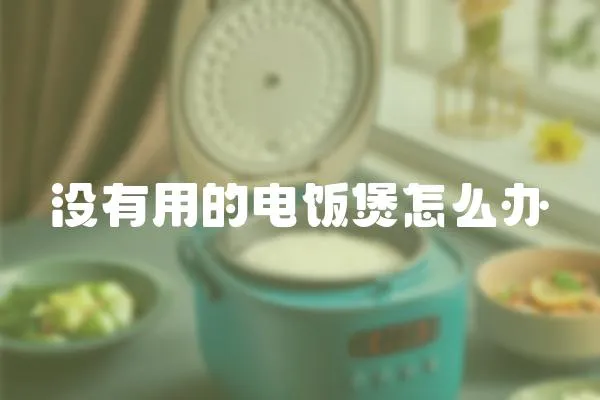 沒有用的電飯煲怎么辦