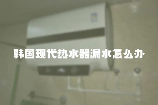 韓國現代熱水器漏水怎么辦