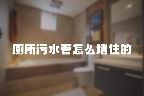 廁所污水管怎么堵住的