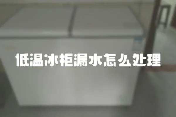 低溫冰柜漏水怎么處理