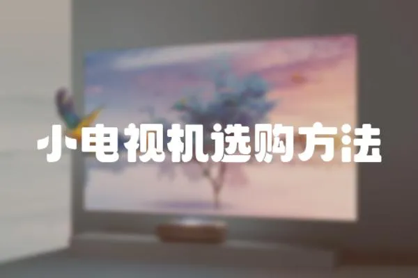 小電視機選購方法