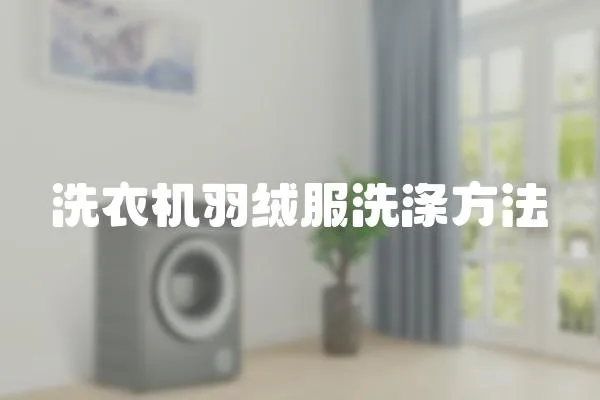 洗衣機羽絨服洗滌方法