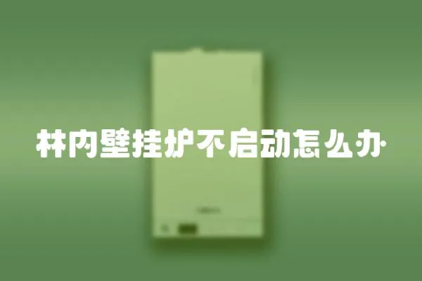 林內壁掛爐不啟動怎么辦