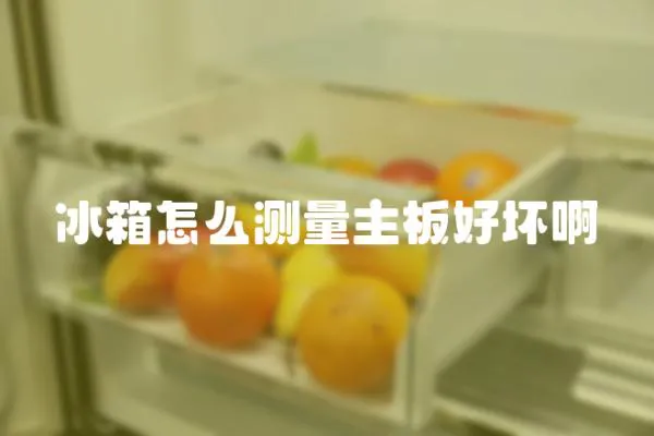 冰箱怎么測量主板好壞啊