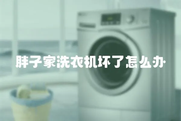 胖子家洗衣機壞了怎么辦