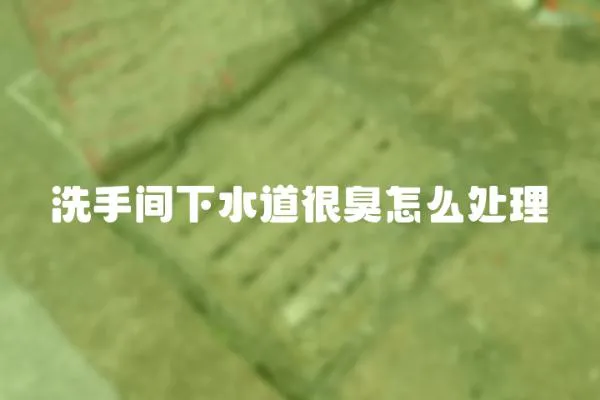 洗手間下水道很臭怎么處理