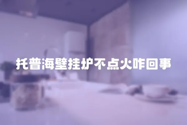 托普海壁掛爐不點火咋回事