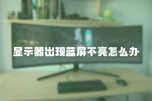 顯示器出現藍屏不亮怎么辦