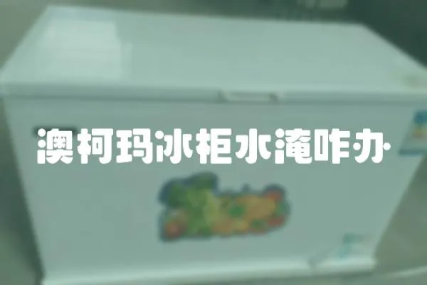 澳柯瑪冰柜水淹咋辦