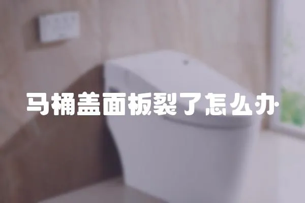 馬桶蓋面板裂了怎么辦