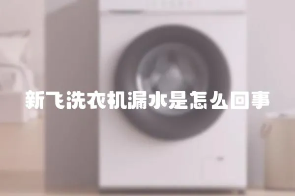 新飛洗衣機漏水是怎么回事