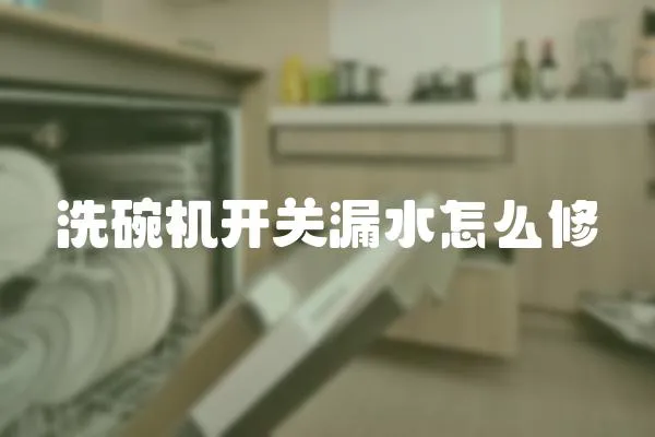 洗碗機開關(guān)漏水怎么修