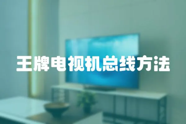 王牌電視機總線方法