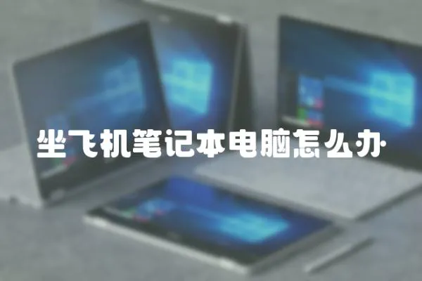 坐飛機筆記本電腦怎么辦