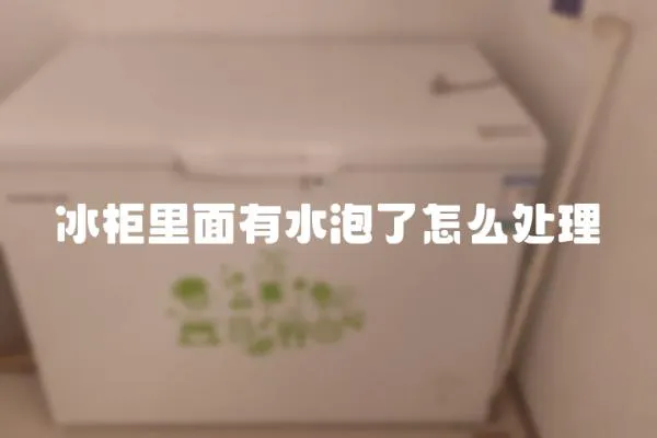 冰柜里面有水泡了怎么處理