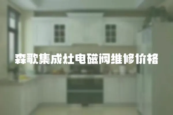 森歌集成灶電磁閥維修價格