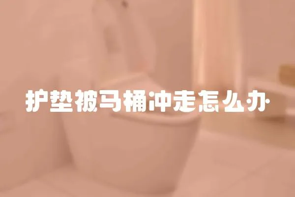 護墊被馬桶沖走怎么辦