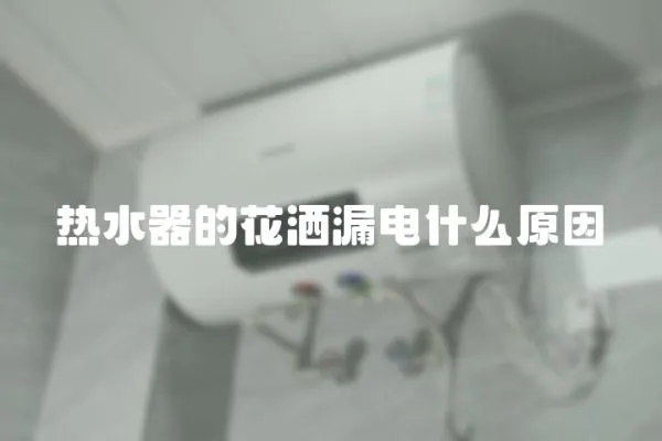 熱水器的花灑漏電什么原因