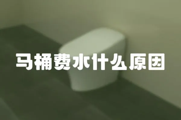 马桶费水什么原因