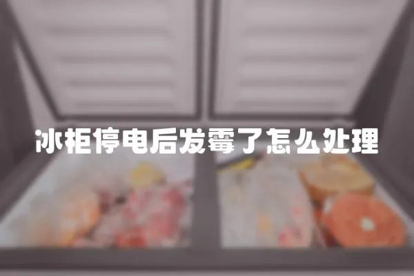 冰柜停電后發霉了怎么處理