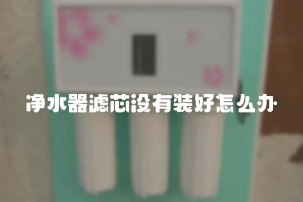 凈水器濾芯沒有裝好怎么辦