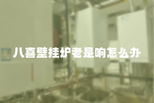 八喜壁掛爐老是響怎么辦