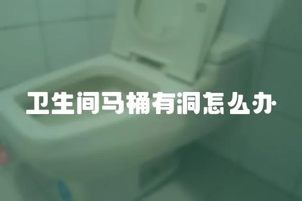 衛(wèi)生間馬桶有洞怎么辦