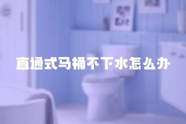 直通式馬桶不下水怎么辦