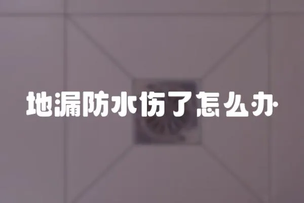 地漏防水傷了怎么辦