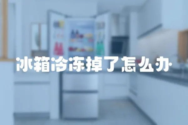 冰箱冷凍掉了怎么辦
