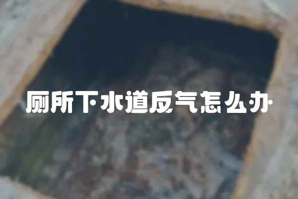 廁所下水道反氣怎么辦