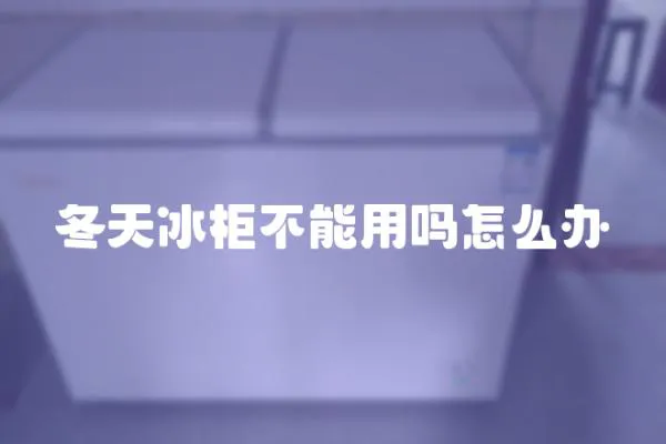 冬天冰柜不能用嗎怎么辦