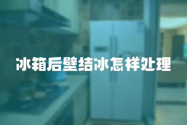 冰箱后壁結冰怎樣處理