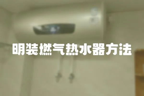 明裝燃?xì)鉄崴鞣椒?></a></div>
                    <div   id=