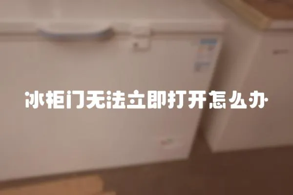冰柜門無法立即打開怎么辦