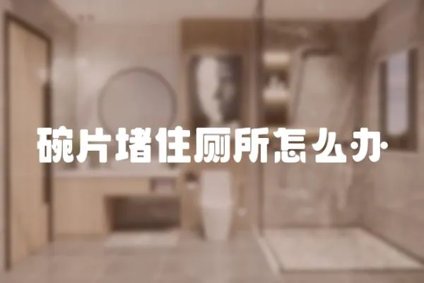 碗片堵住廁所怎么辦