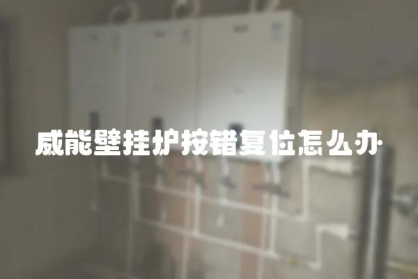 威能壁掛爐按錯復(fù)位怎么辦