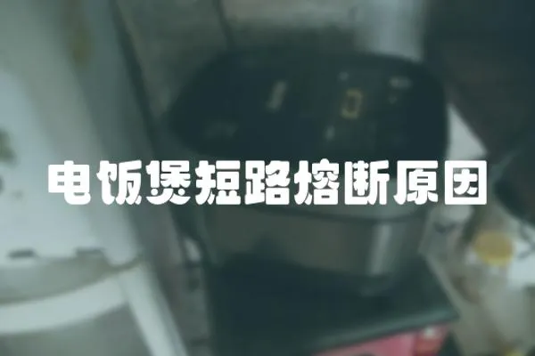 電飯煲短路熔斷原因