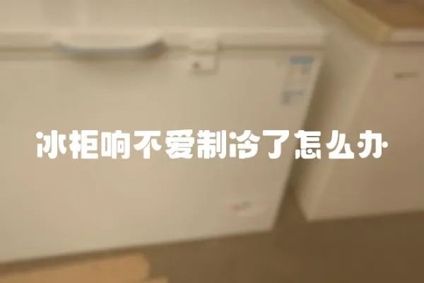 冰柜響不愛制冷了怎么辦