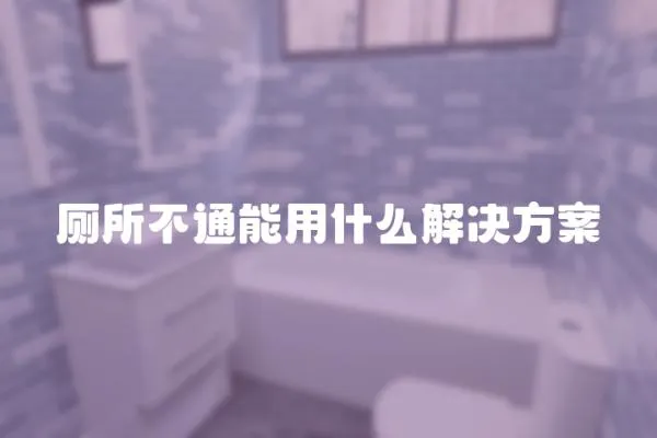 廁所不通能用什么解決方案