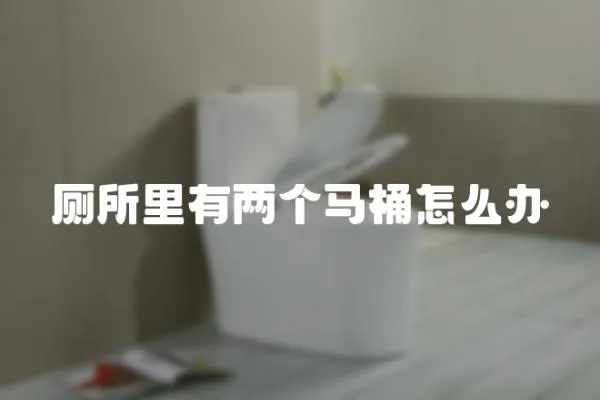 廁所里有兩個馬桶怎么辦