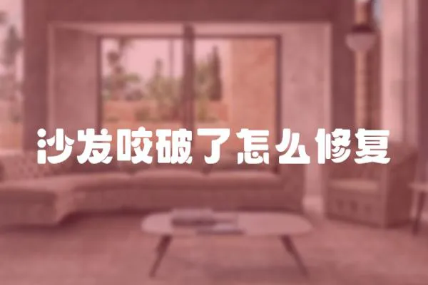 沙發咬破了怎么修復