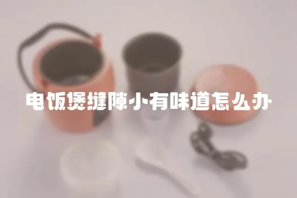 電飯煲縫隙小有味道怎么辦