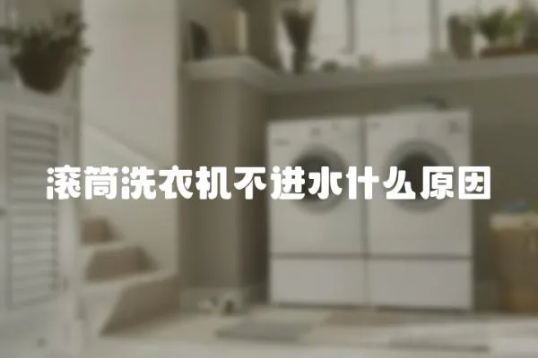 滾筒洗衣機不進水什么原因