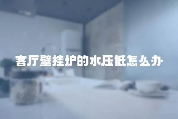 客廳壁掛爐的水壓低怎么辦