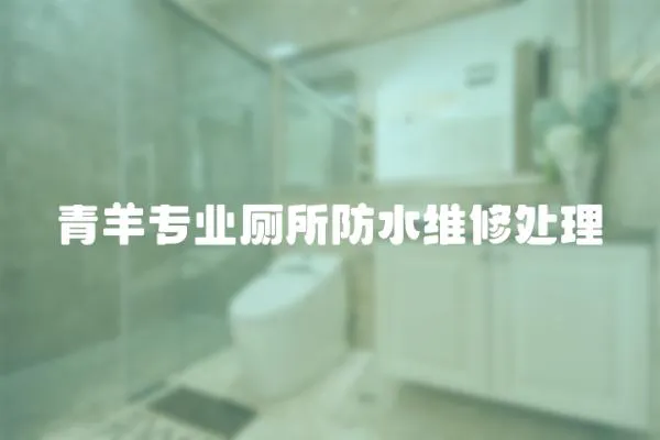 青羊專業廁所防水維修處理