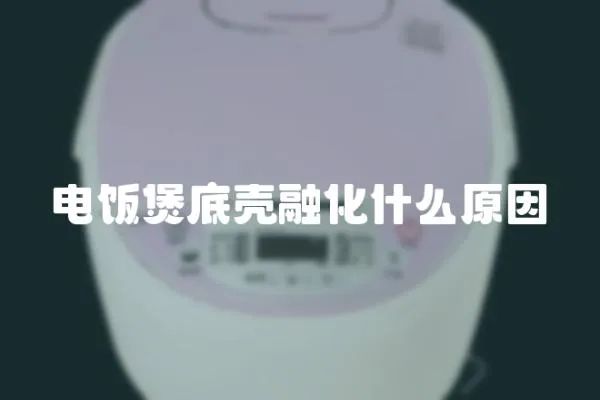 電飯煲底殼融化什么原因